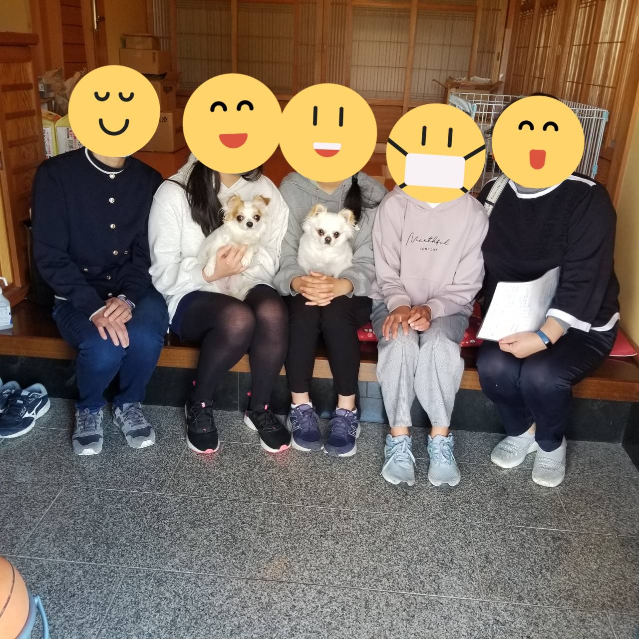 こちらの保護犬は里親様が決まりました