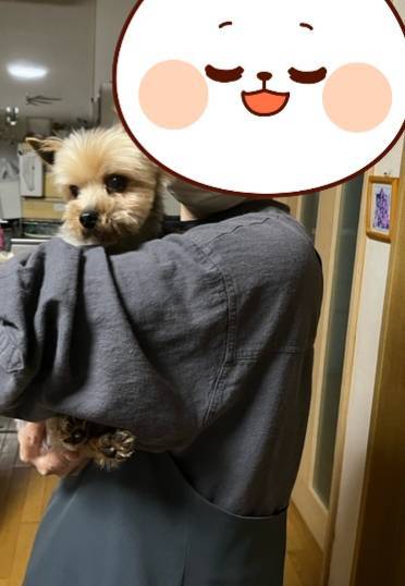 こちらの保護犬は里親様が決まりました