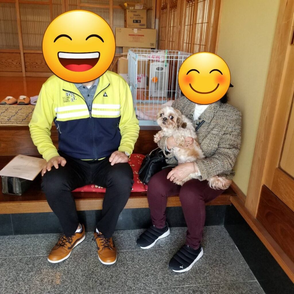 こちらの保護犬は里親様が決まりました