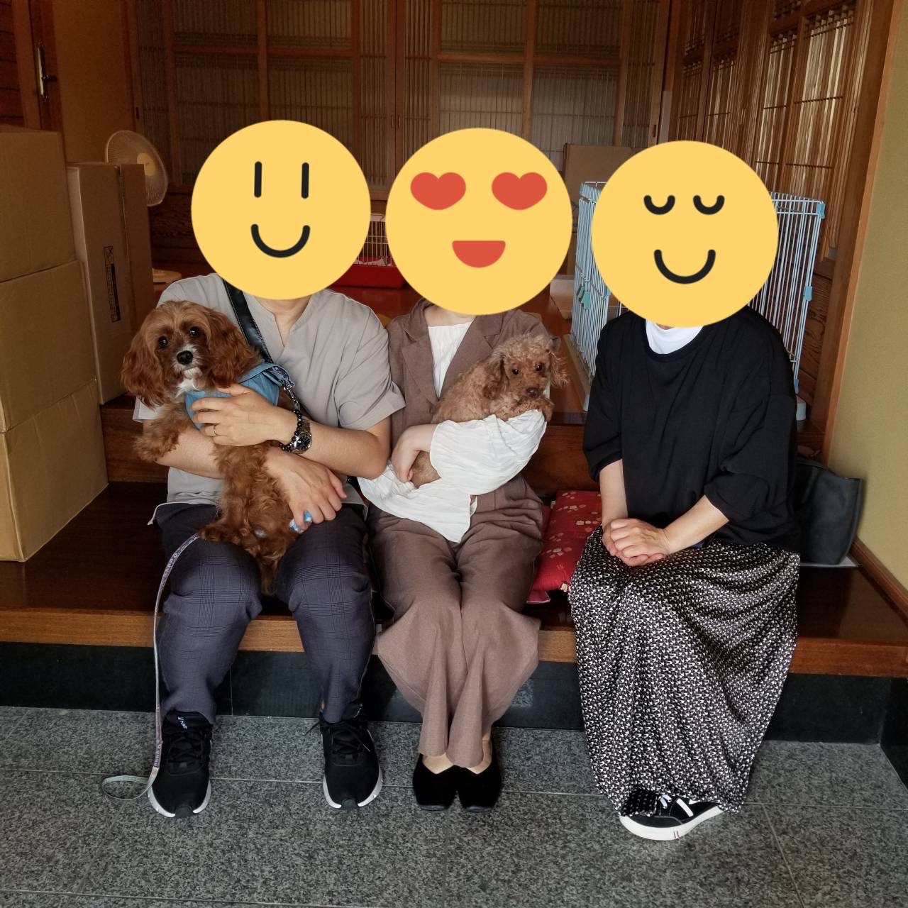 こちらの保護犬は里親様が決まりました