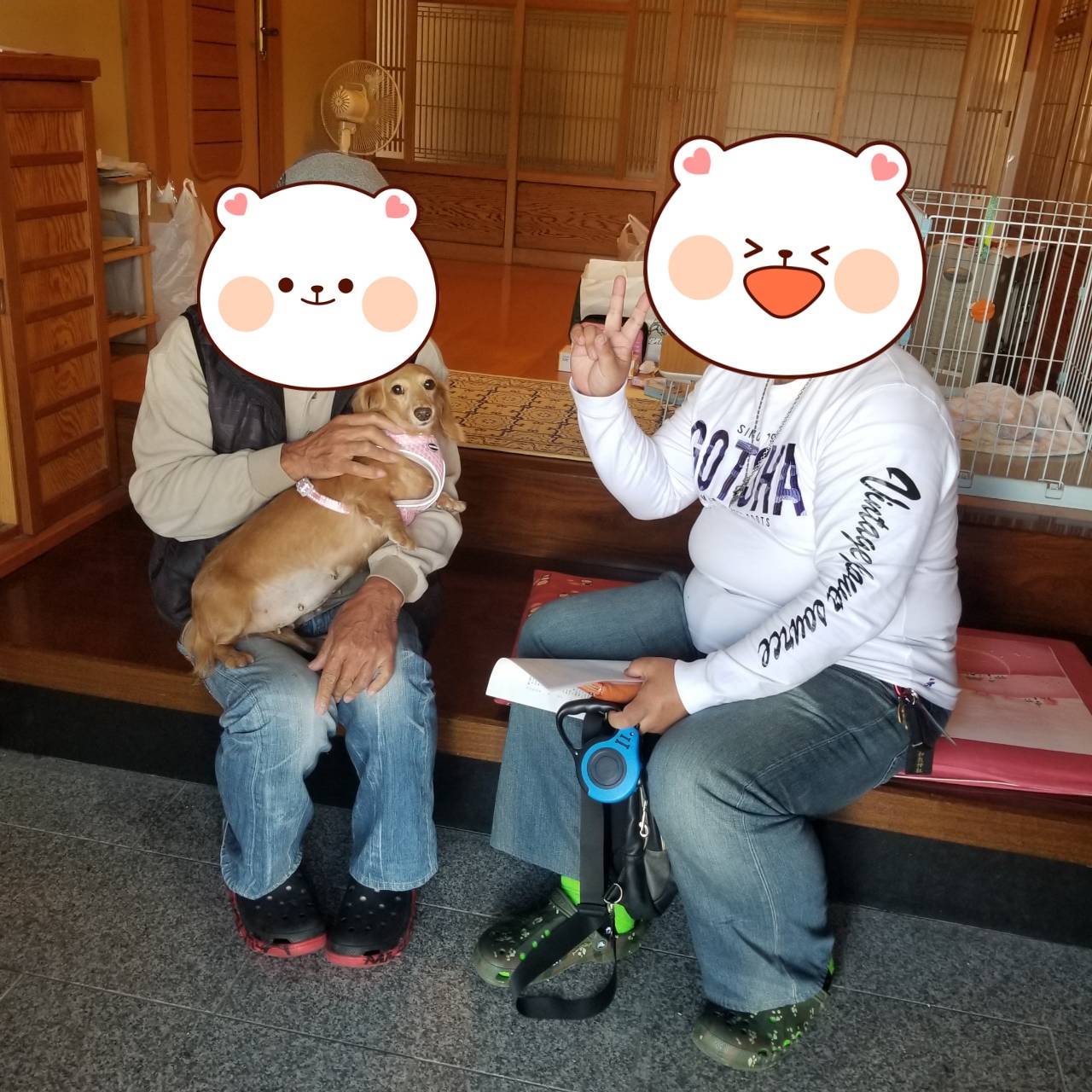 こちらの保護犬は里親様が決まりました