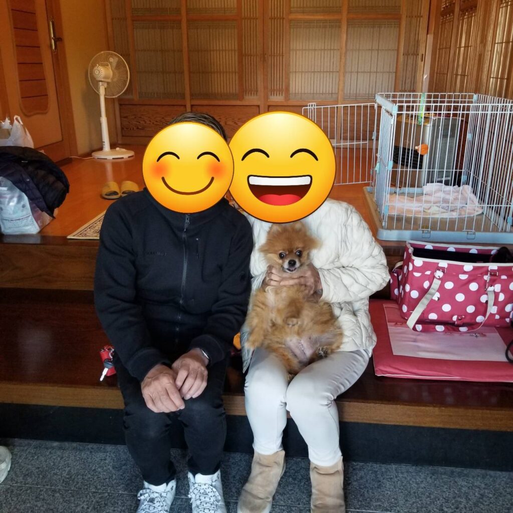 こちらの保護犬は里親様が決まりました