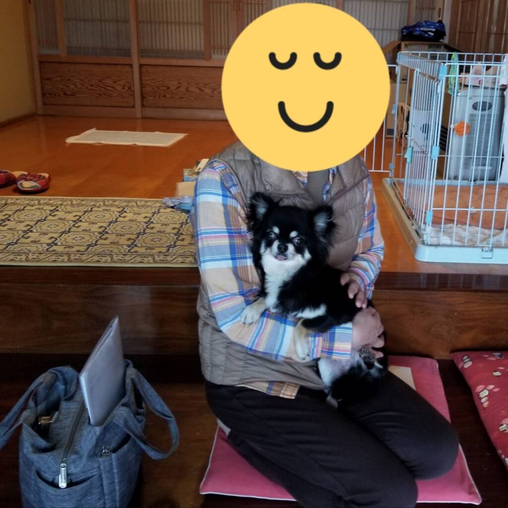 こちらの保護犬は里親様が決まりました