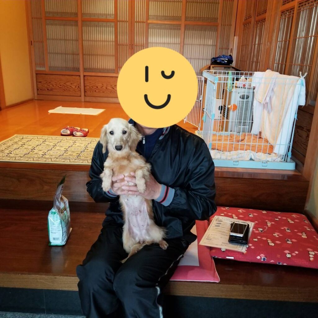 こちらの保護犬は里親様が決まりました