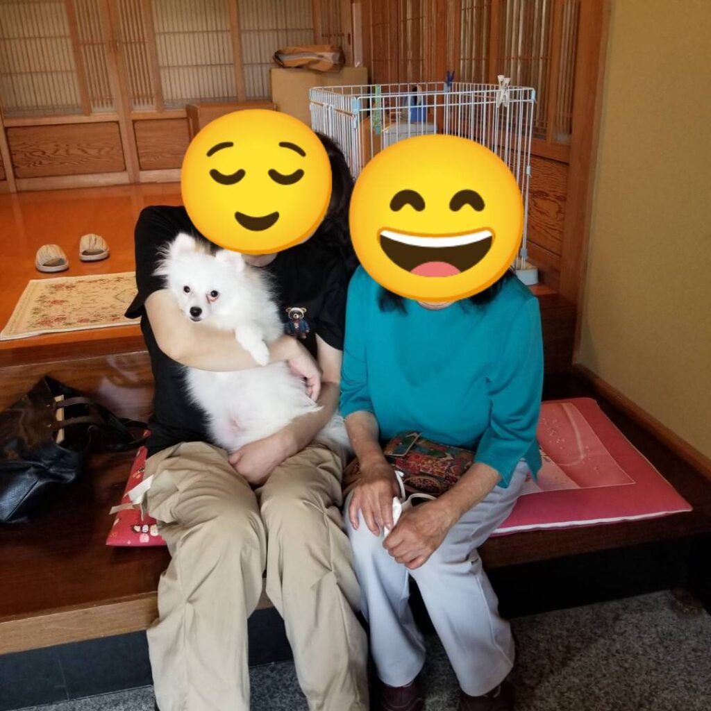 こちらの保護犬は里親様が決まりました