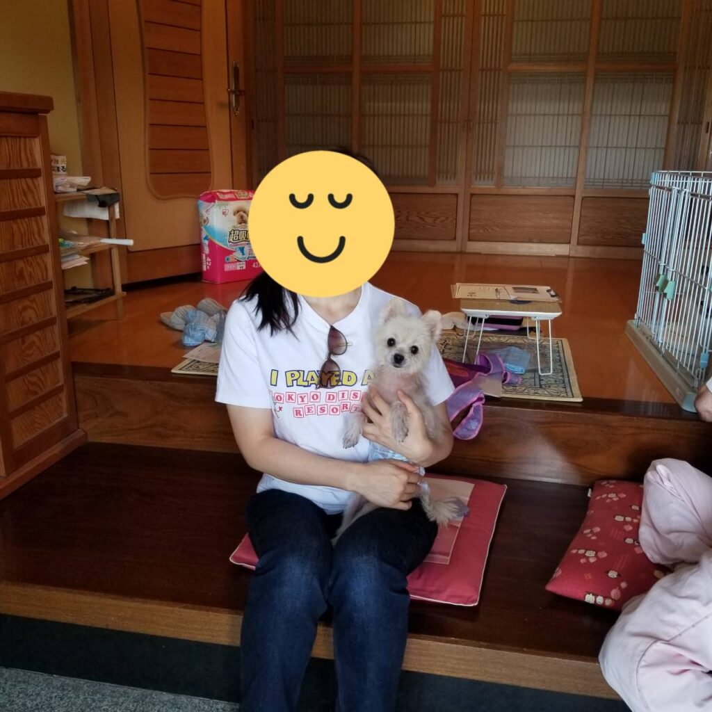 こちらの保護犬は里親様が決まりました