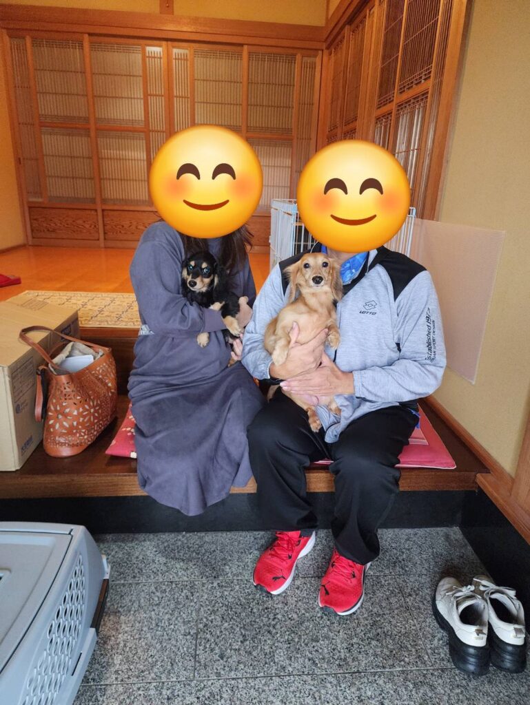 こちらの保護犬は里親様が決まりました