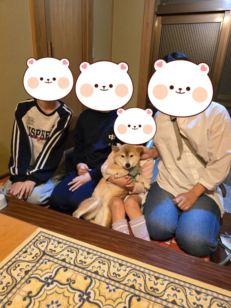 こちらの保護犬は里親様が決まりました