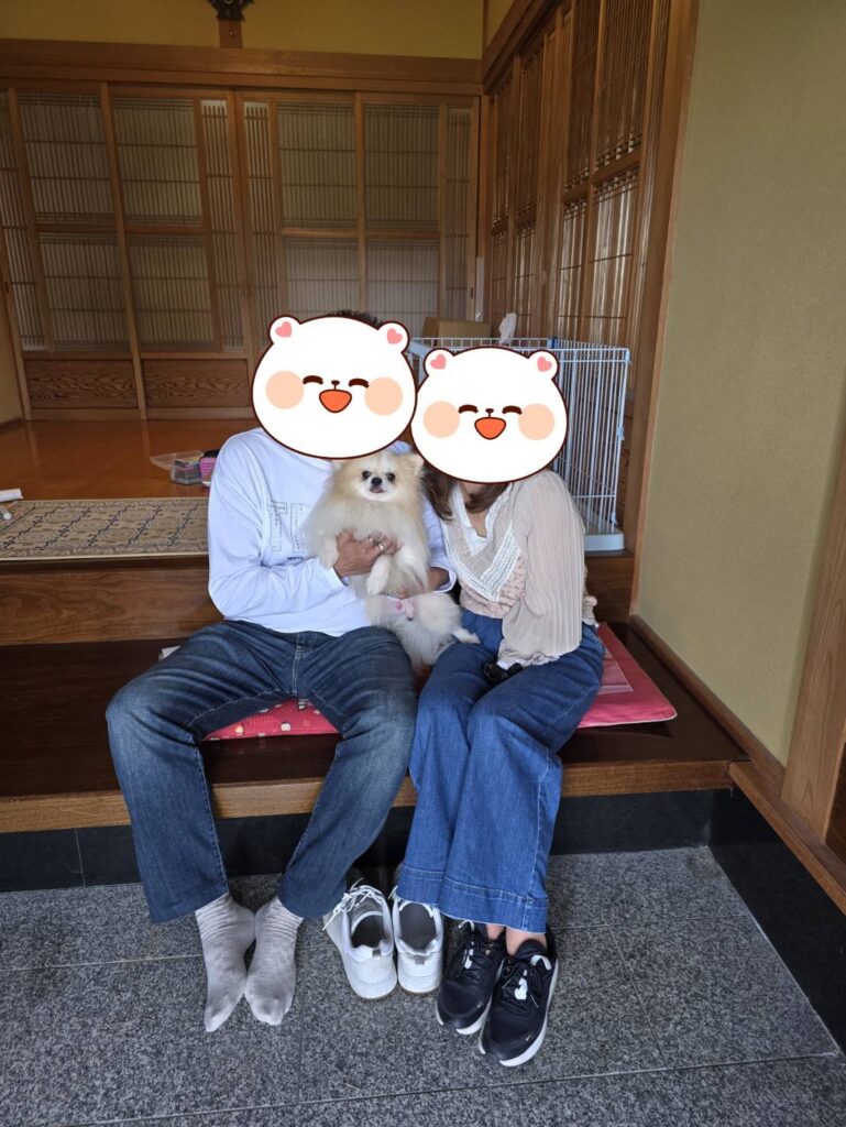 こちらの保護犬は里親様が決まりました