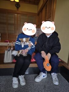 こちらの保護犬は里親様が決まりました