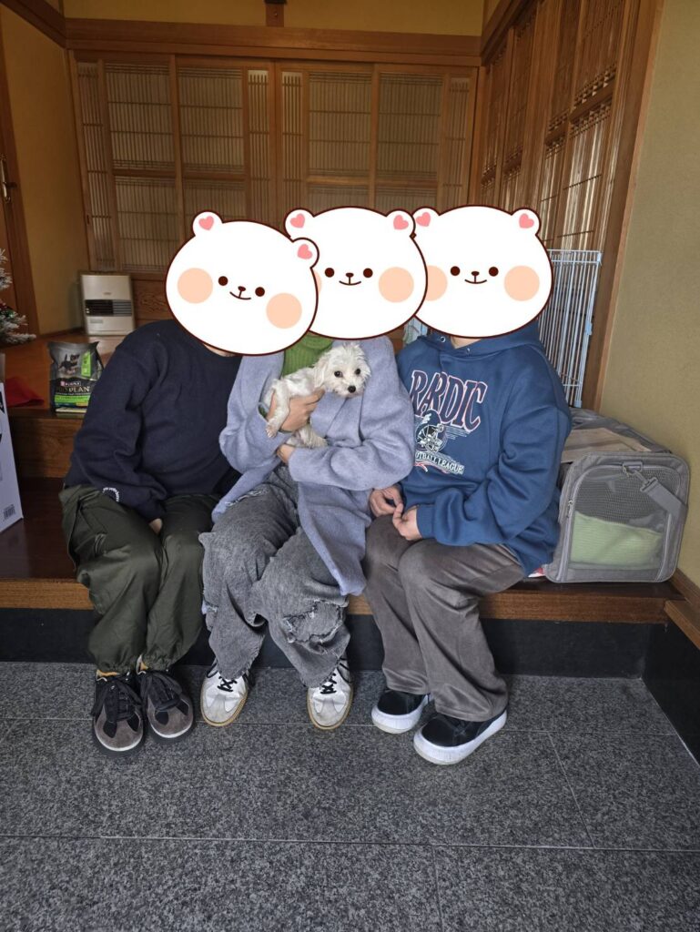 こちらの保護犬は里親様が決まりました