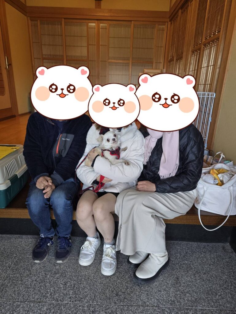 こちらの保護犬は里親様が決まりました