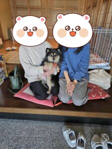 こちらの保護犬は里親様が決まりました