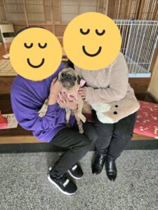 こちらの保護犬は里親様が決まりました