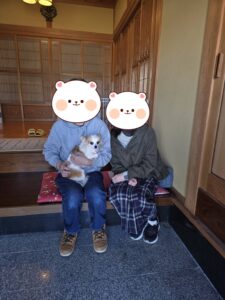 こちらの保護犬は里親様が決まりました