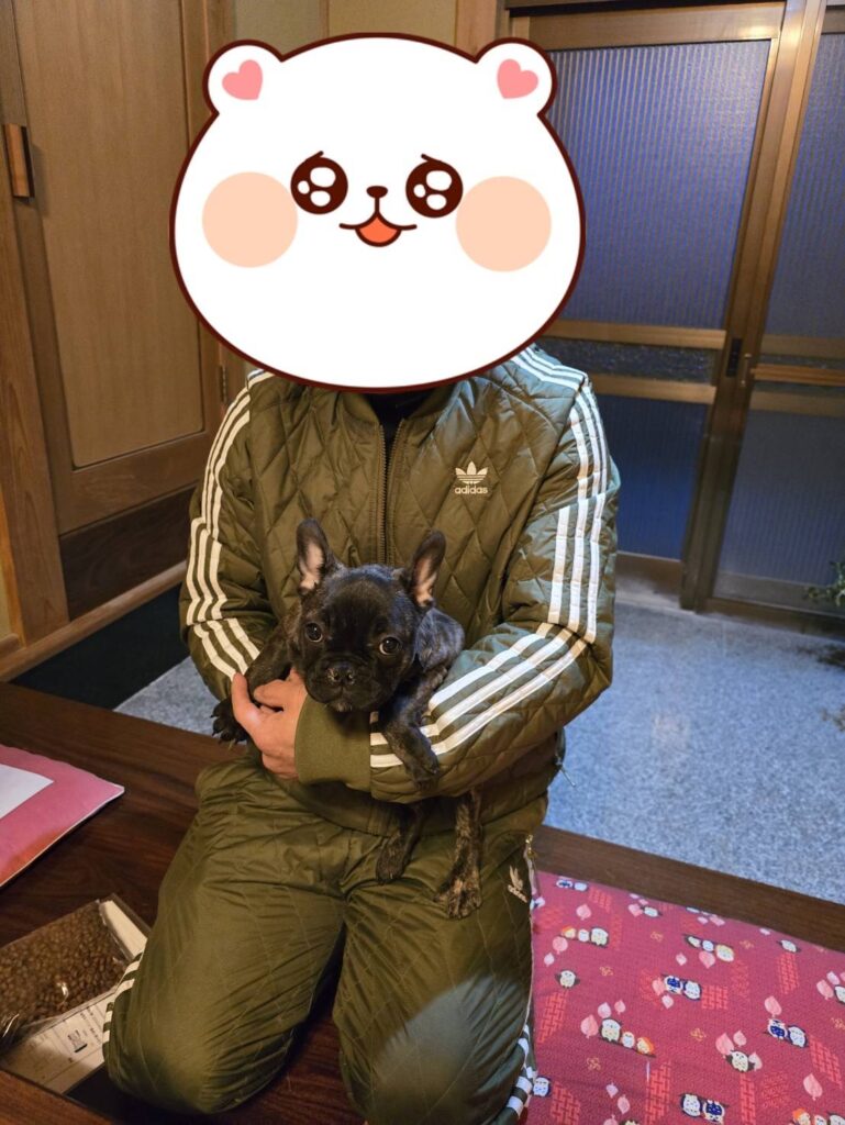 こちらの保護犬は里親様が決まりました