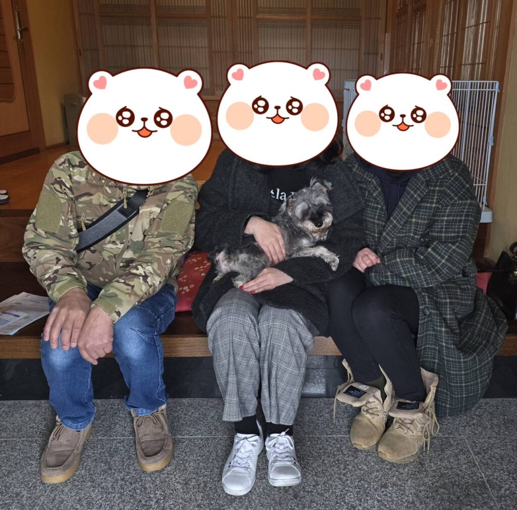 こちらの保護犬は里親様が決まりました