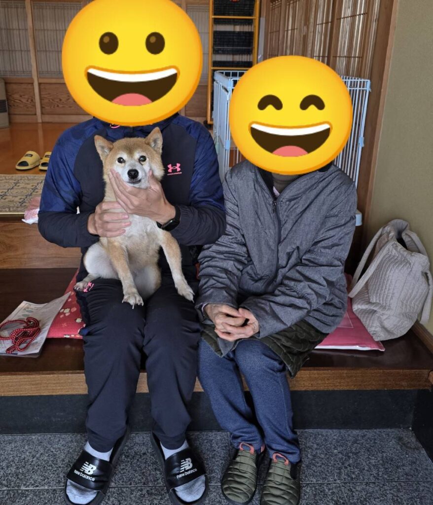 こちらの保護犬は里親様が決まりました