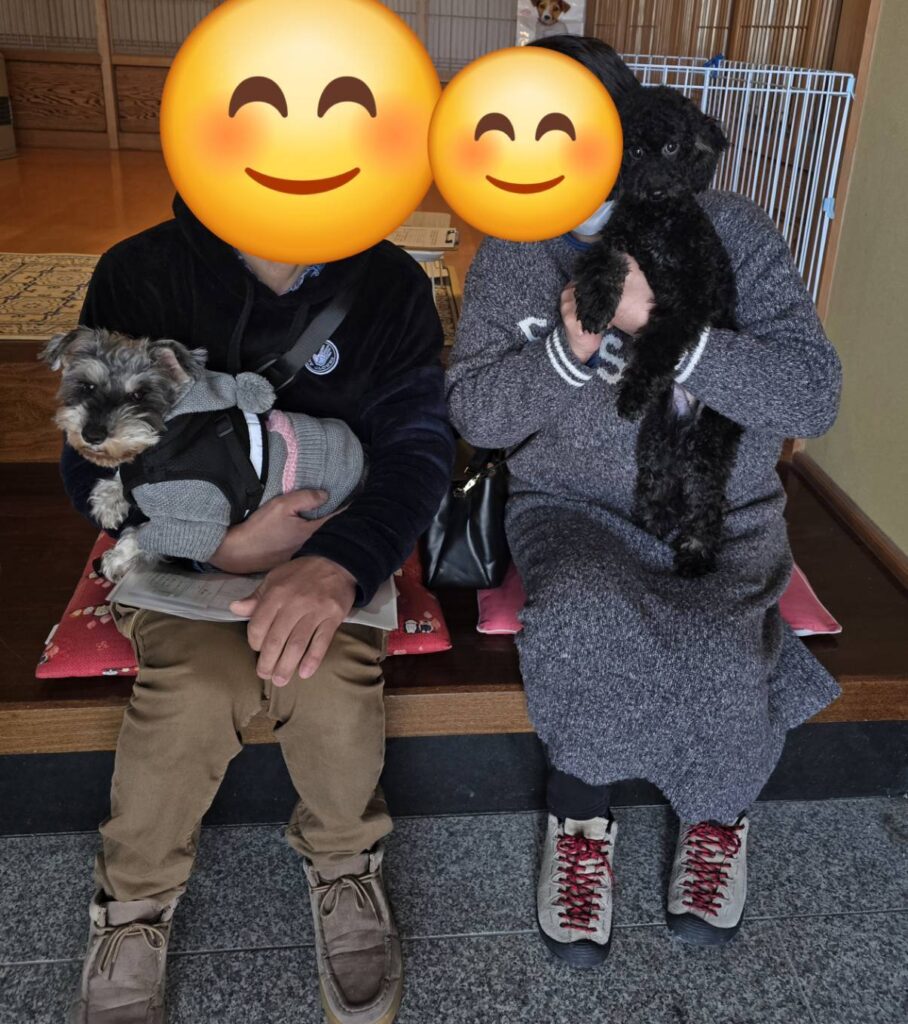 こちらの保護犬は里親様が決まりました