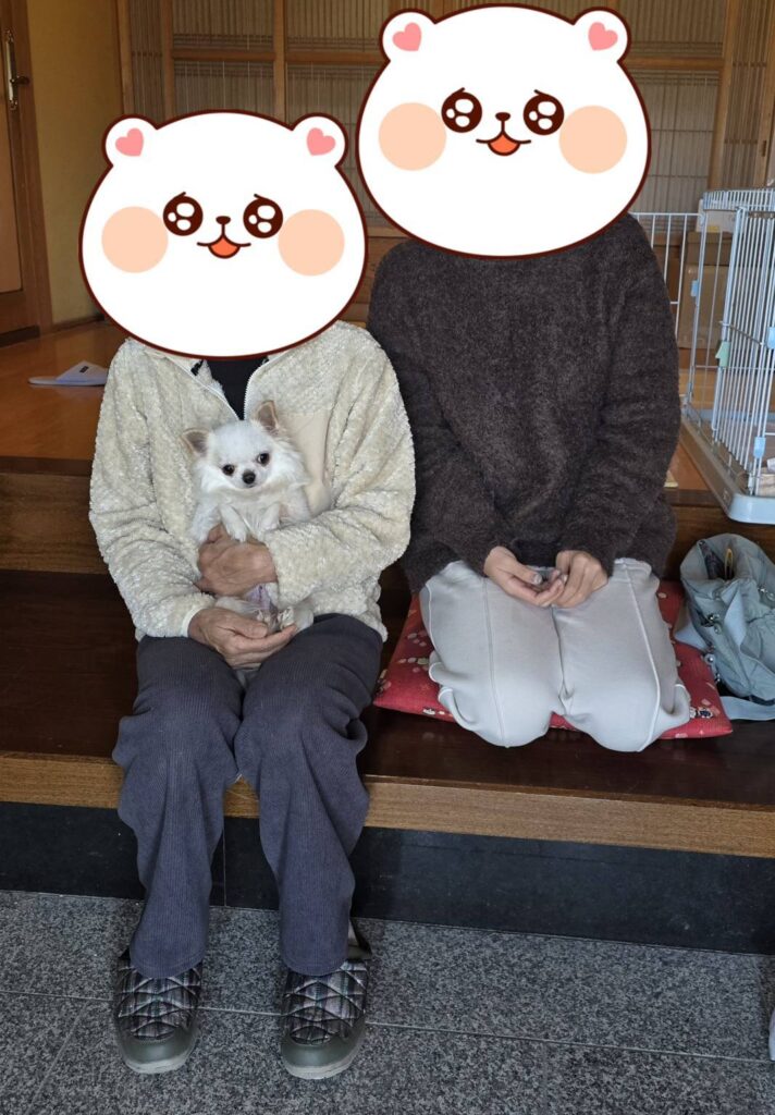 こちらの保護犬は里親様が決まりました