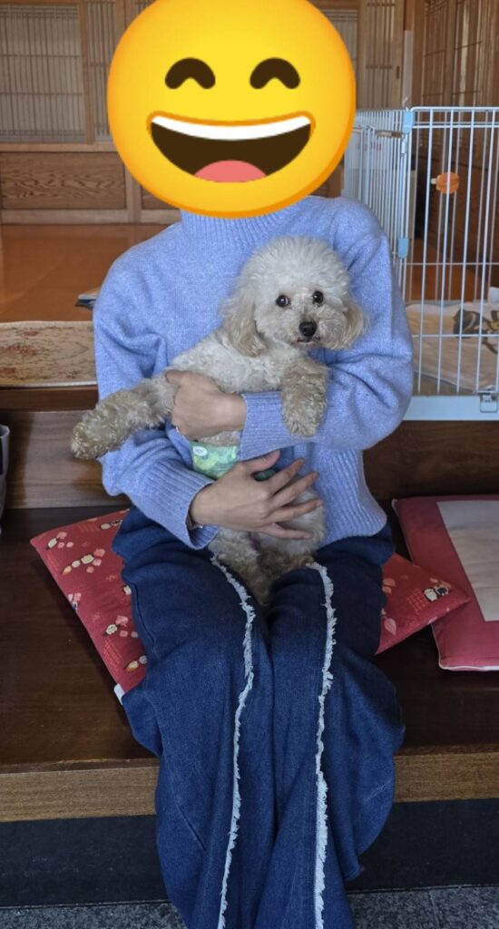 こちらの保護犬は里親様が決まりました