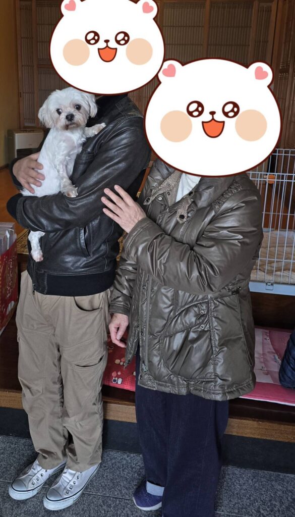 こちらの保護犬は里親様が決まりました