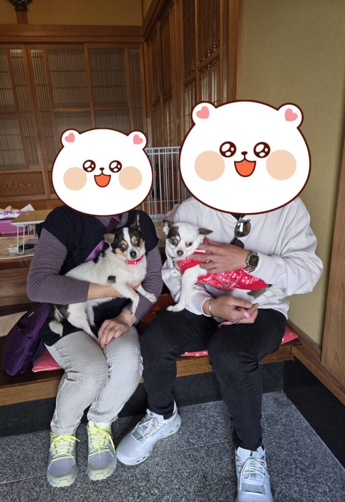 こちらの保護犬は里親様が決まりました
