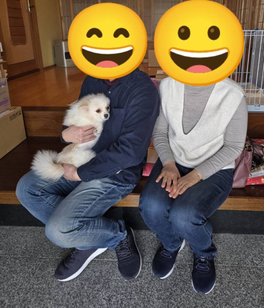 こちらの保護犬は里親様が決まりました