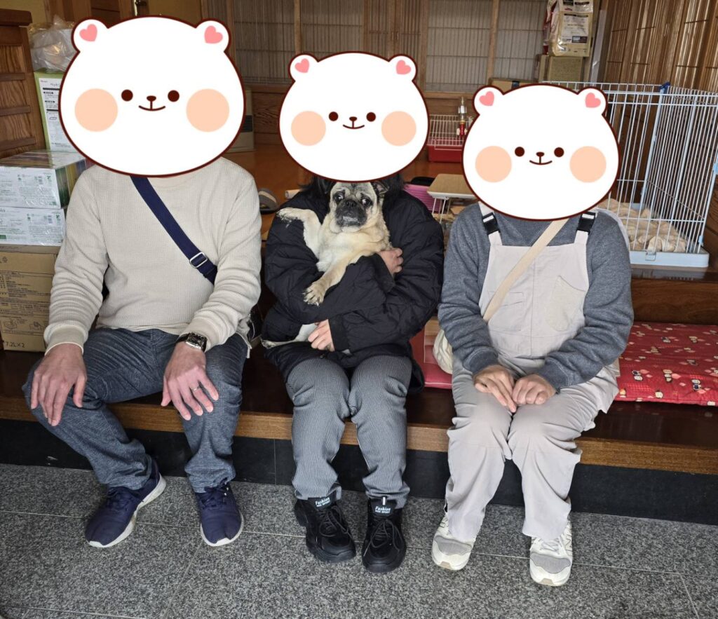 こちらの保護犬は里親様が決まりました