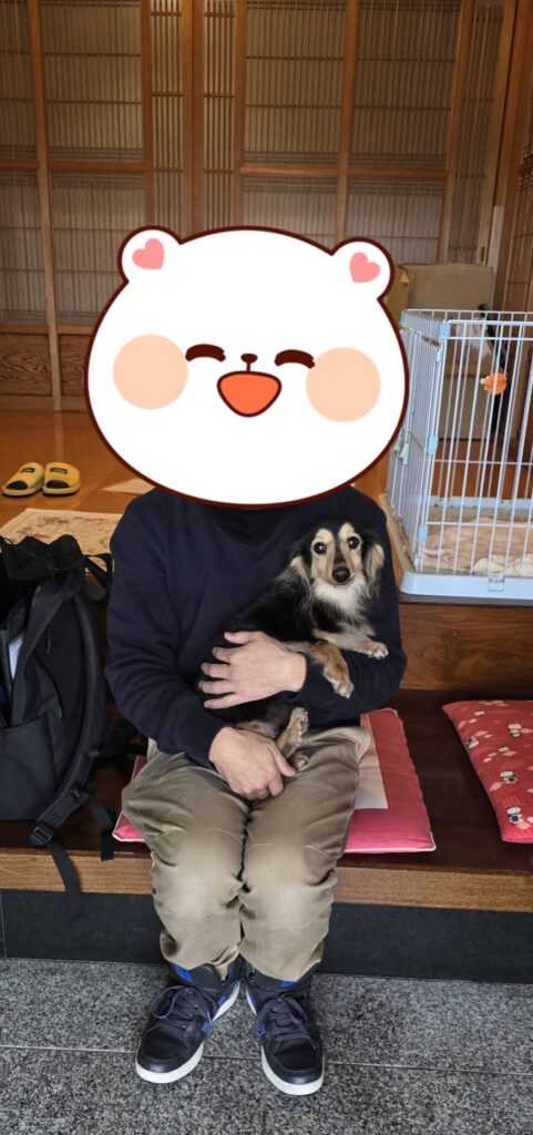 こちらの保護犬は里親様が決まりました