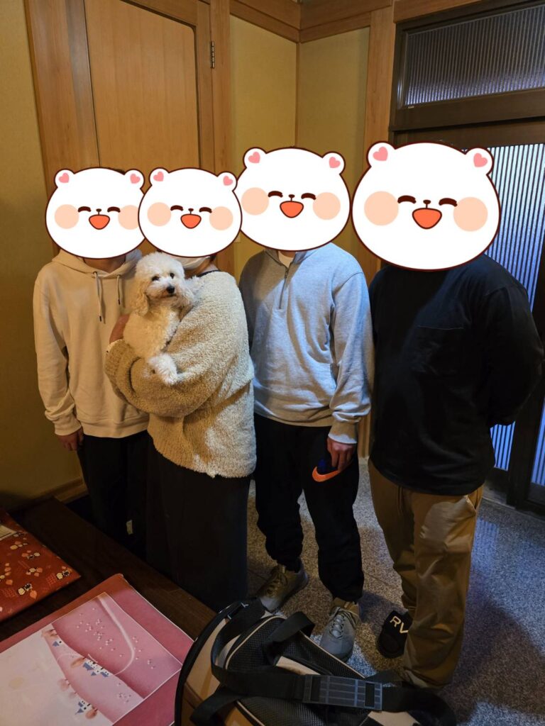 こちらの保護犬は里親様が決まりました