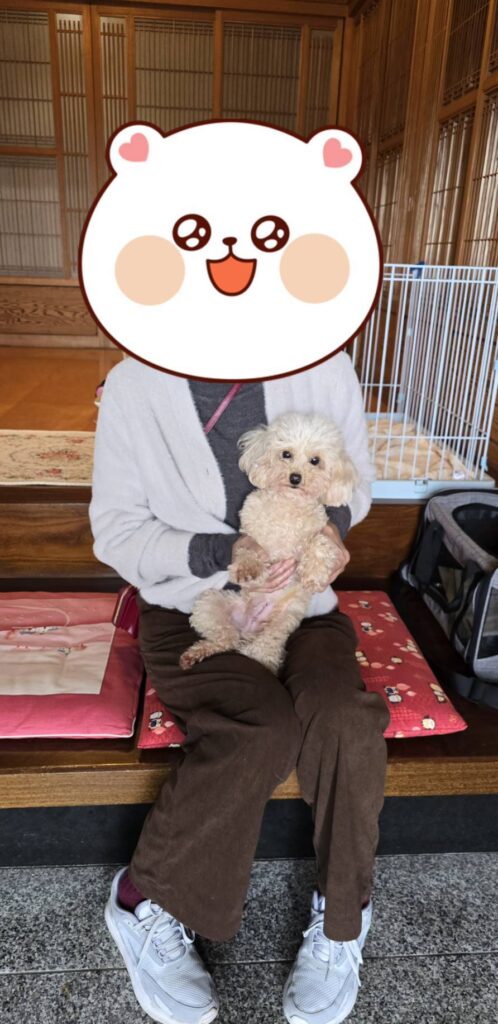 こちらの保護犬は里親様が決まりました