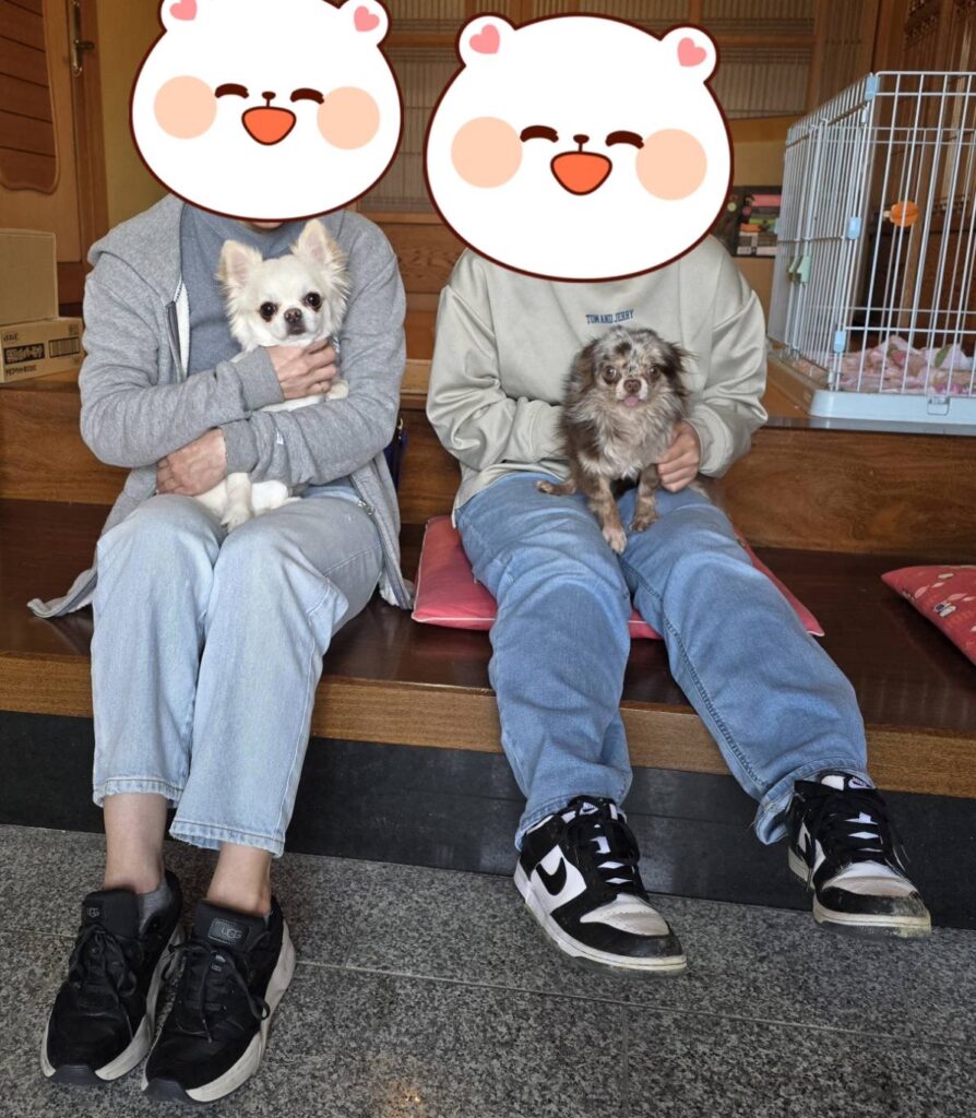 こちらの保護犬は里親様が決まりました