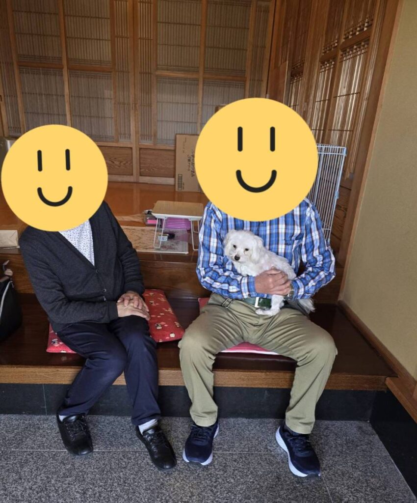 こちらの保護犬は里親様が決まりました