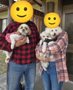 こちらの保護犬は里親様が決まりました