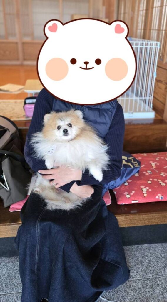 こちらの保護犬は里親様が決まりました