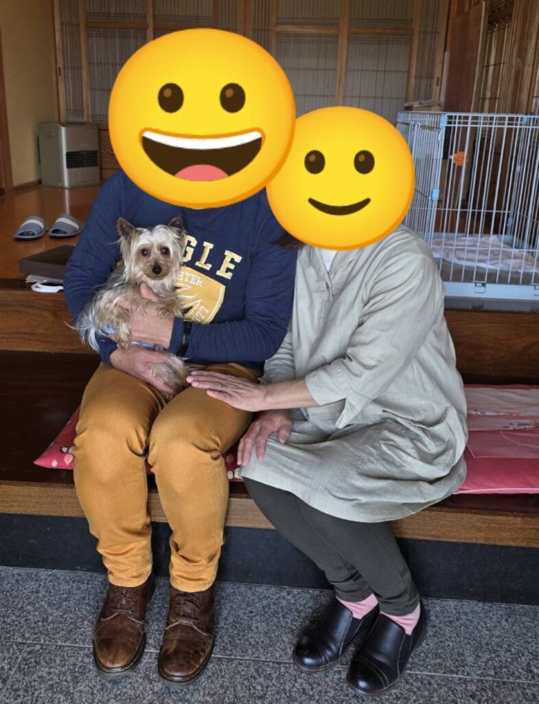 こちらの保護犬は里親様が決まりました
