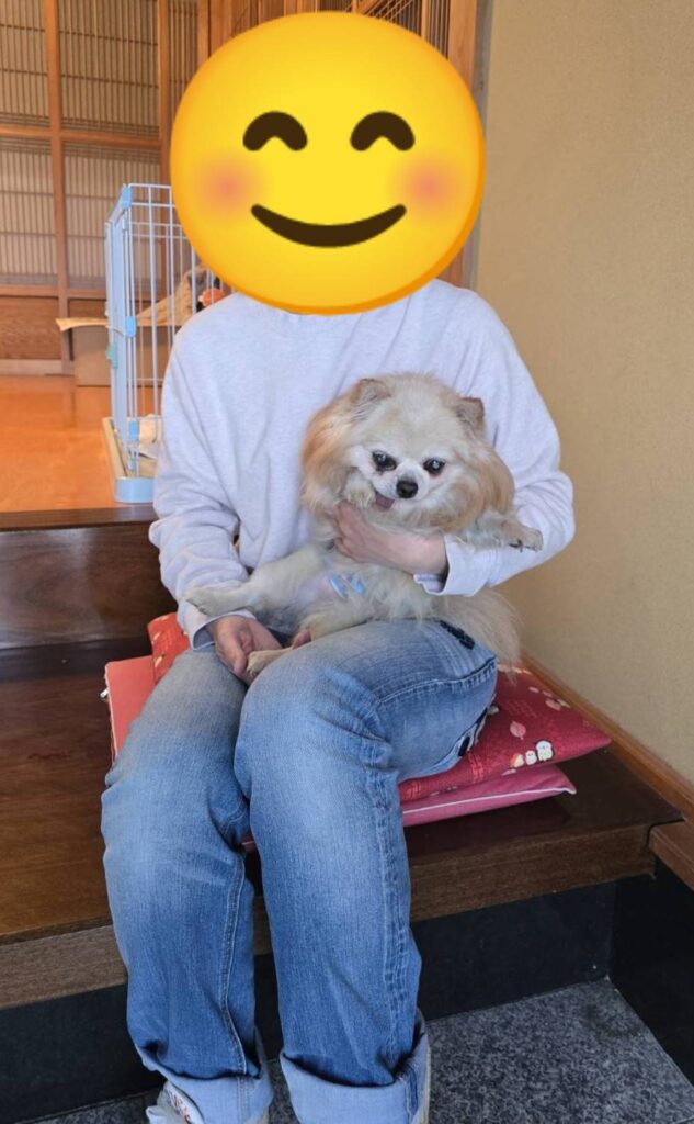 こちらの保護犬は里親様が決まりました