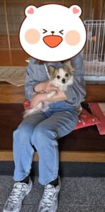 こちらの保護犬は里親様が決まりました