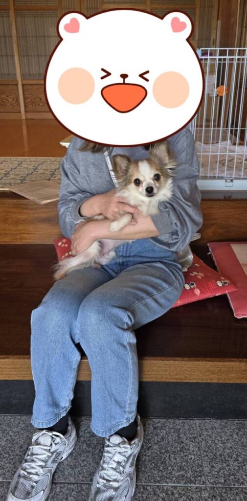 こちらの保護犬は里親様が決まりました