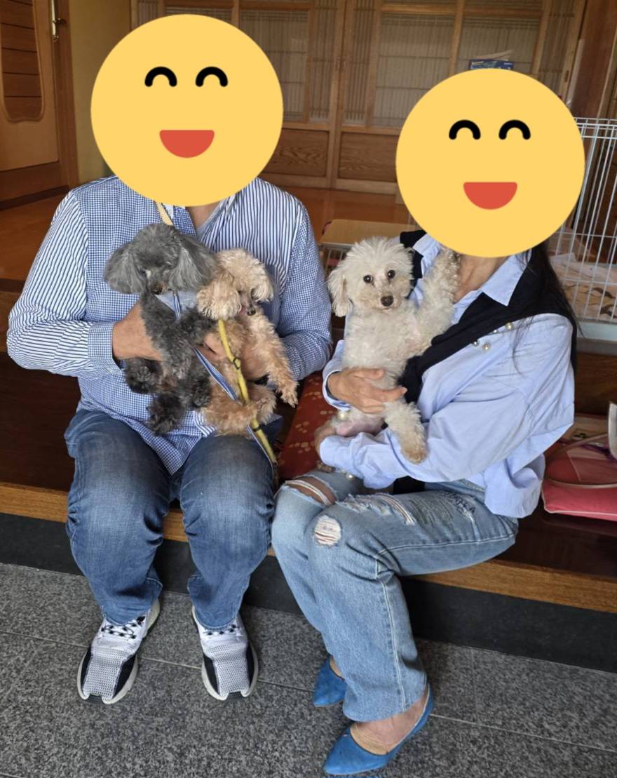 こちらの保護犬は里親様が決まりました