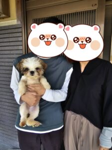 こちらの保護犬は里親様が決まりました