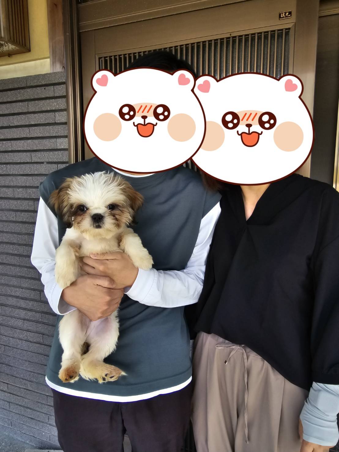 こちらの保護犬は里親様が決まりました