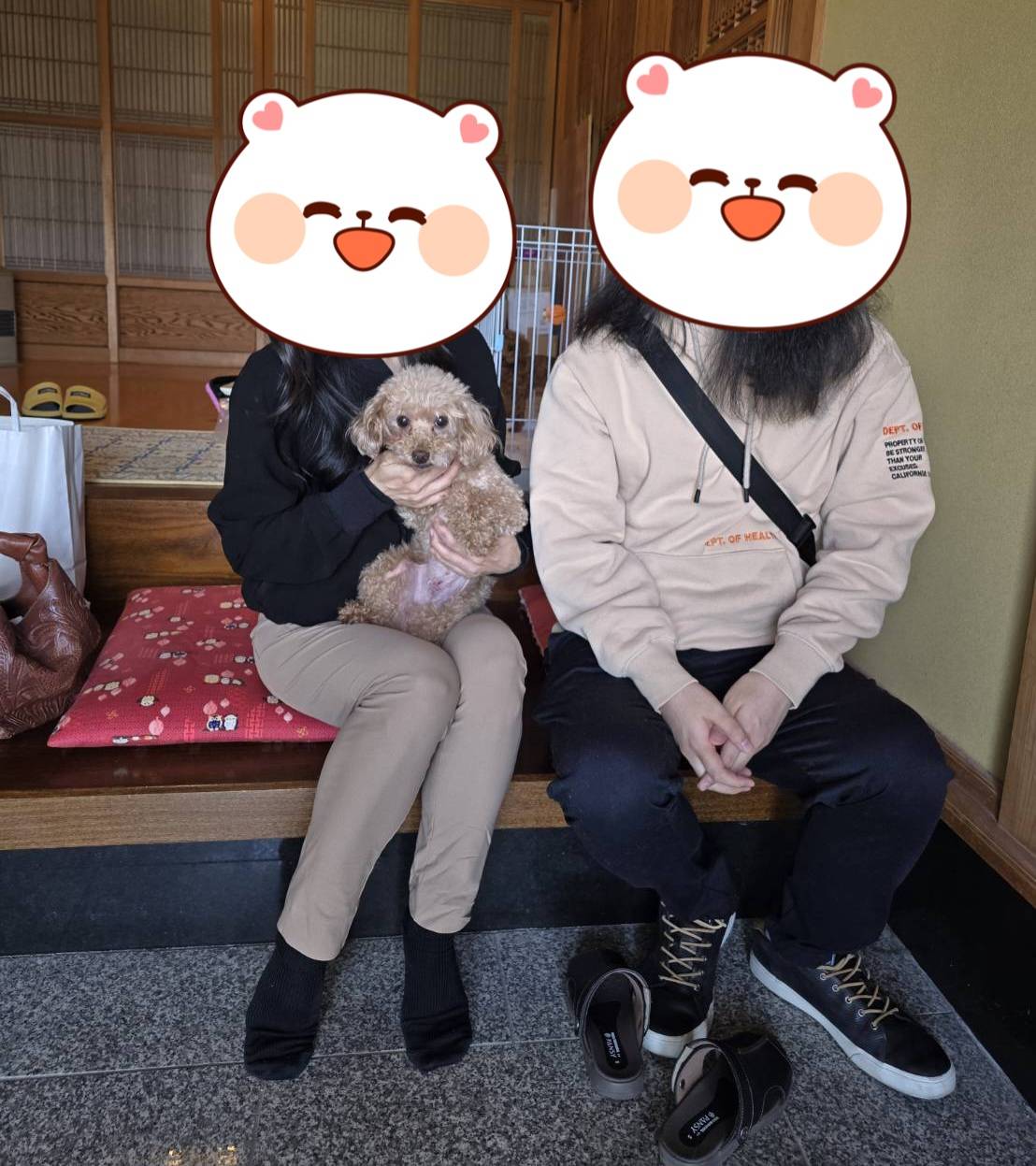 こちらの保護犬は里親様が決まりました