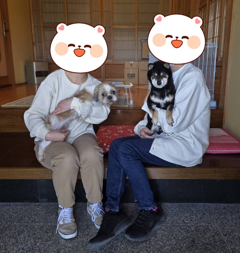 こちらの保護犬は里親様が決まりました