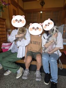 こちらの保護犬は里親様が決まりました