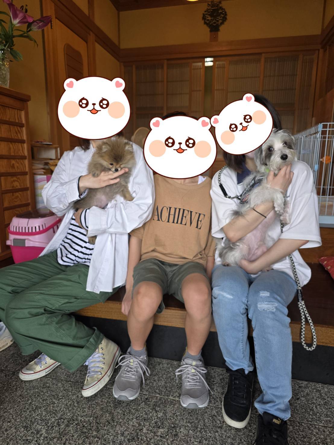 こちらの保護犬は里親様が決まりました