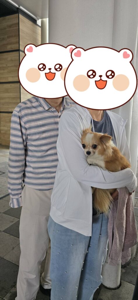 こちらの保護犬は里親様が決まりました