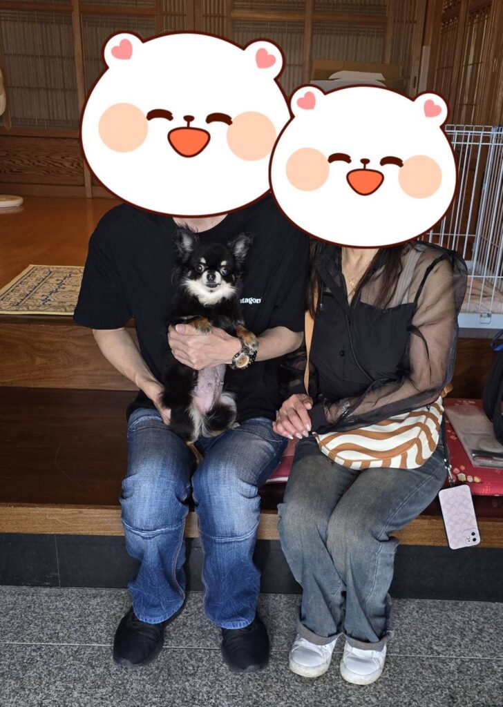 こちらの保護犬は里親様が決まりました