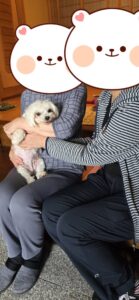 こちらの保護犬は里親様が決まりました